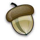 acorn