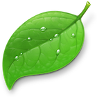 coda